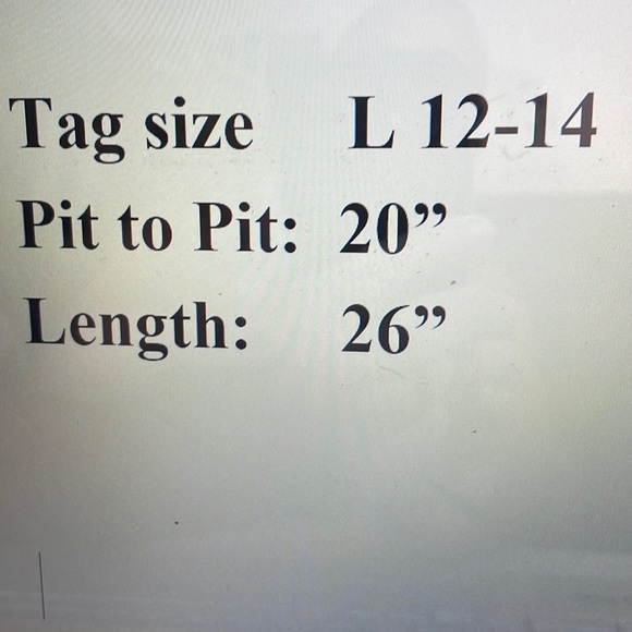 Time And Tru large 12-14 Burgundy v neck shirt blouse - Picture 9 of 9